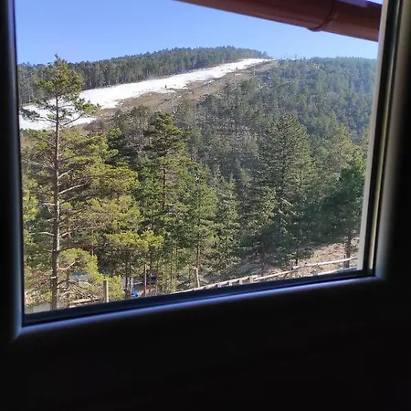 Andrica Sokak 2 Divcibare