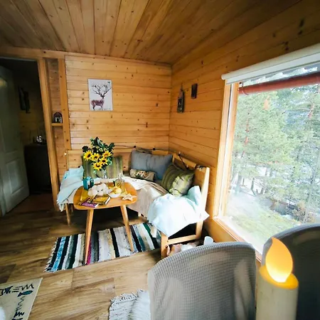 Andrica Sokak 2 * Divcibare